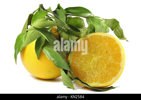 Orangen mit Blättern auf weißem Hintergrund Stockfoto