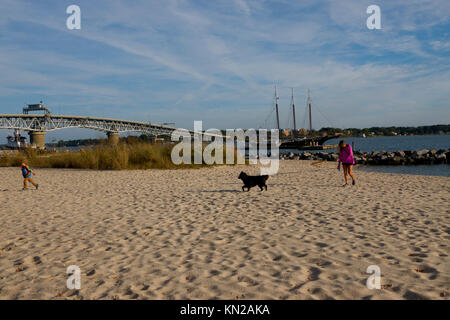 USA Virginia VA Yorktown Strand an der York Fluß Mutter Sohn und Hund spielen im Sand Stockfoto