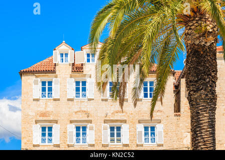 Historisches Gebäude mit Palme im Vordergrund in der Altstadt von Trogir an sonnigen Sommertagen, Dalmatien, Kroatien Stockfoto