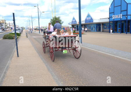 Touristen in Pferd und Wagen entlang der Küste von Great Yarmouth, Großbritannien Stockfoto