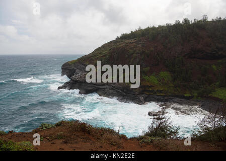 Kīlauea Point National Wildlife Refuge ist eine große Zucht Ort für viele Arten von Seevögeln - der Rote footed Booby, Laysan Albatrosse, Rot - Tropic tailed Stockfoto