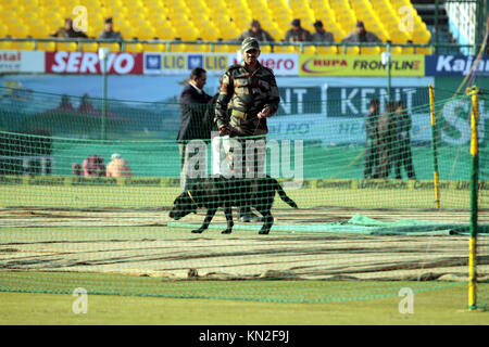 Dharamshala, Indien. 09 Dez, 2017. Sniffer hund Überprüfen der Tonhöhe in Dharamshala Stadion am Samstag. Indien ihre erste ODI Spiel gegen Sri Lanka am Sonntag spielen in Dharamshala. Credit: shailesh Bhatnagar/Pacific Press/Alamy leben Nachrichten Stockfoto