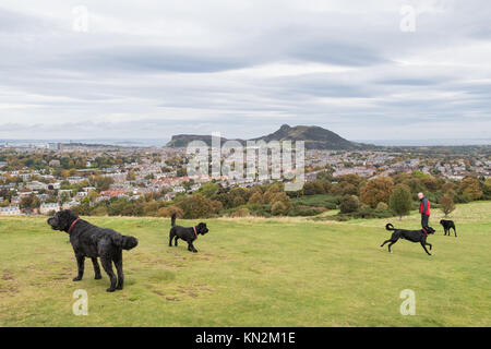 Arthurs Seat und Salisbury Crags ab Blackford Hill eine der sieben Hügel von Edinburgh, Edinburgh, Schottland, UK gesehen Stockfoto