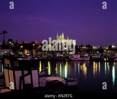 Beleuchtet in der Nacht die Kathedrale von Mallorca, La Seu - die Kathedrale von Santa Maria von Palma, Puerto de Palma, Palma de Mallorca, Mallorca, Spanien Stockfoto