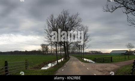 Wiese und Landstraße bei Dämmerung im regnerischen Wetter in den Niederlanden Stockfoto