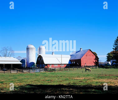 Bauernhof Szene, Stadt von Red Hook, Dutchess County, New York State, Amerika Stockfoto