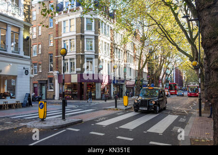 London black cab Taxi auf einen Fußgängerüberweg auf Gray's Inn Road, Holborn, London Stockfoto