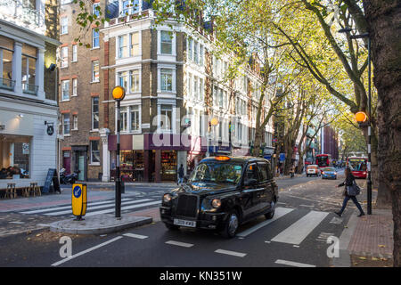 London black cab Taxi auf einen Fußgängerüberweg auf Gray's Inn Road, Holborn, London Stockfoto