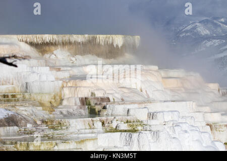 Eis und Schnee bedecken die Travertin Rock Hill der Kanarischen Frühlings- und Terrasse an der Yellowstone National Park Mammoth Hot Springs im Winter Januar 12, 2017 in der Nähe von Yanceys, Wyoming. (Foto von Diane Renkin über Planetpix) Stockfoto