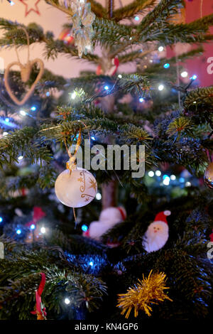 Echter Weihnachtsbaum, der für die festliche Jahreszeit geschmückt wird Stockfoto