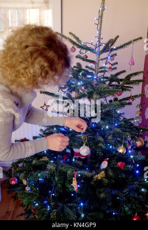 Weihnachten 2017 - echten Weihnachtsbaum für die festliche Jahreszeit dekoriert werden soll Stockfoto