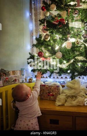 Weihnachten 2017 - Süße ein Jahr alt Baby Kleinkind durch Weihnachtsbaumbeleuchtungen fasziniert Stockfoto