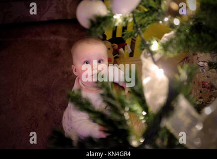 Weihnachten 2017 - Süße ein Jahr alt Baby Kleinkind durch Weihnachtsbaumbeleuchtungen fasziniert Stockfoto