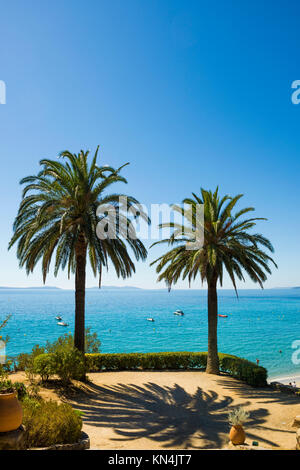 Aussichtsterrasse mit Palmen, Rayol-Canadel-sur-Mer, Var, Cote d'Azur, Südfrankreich, Frankreich Stockfoto