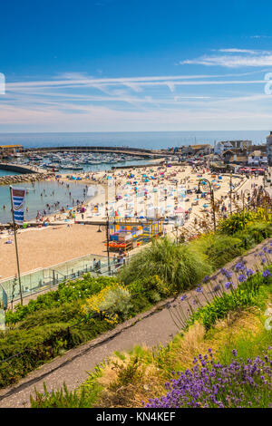 Den Hafen und den Strand von Langmoor & Lister Gärten in Lyme Regis auf der Jurassic Coast, Weltkulturerbe, Dorset, England, Großbritannien Stockfoto