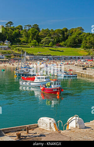 Flut und bunte Boote im Hafen von Lyme Regis auf der Jurassic Coast, Weltkulturerbe, Dorset, England, Großbritannien Stockfoto