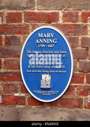 Eine blaue Plakette zum Gedenken an Mary Anning, einem bekannten fossilen Jäger in Lyme Regis auf der Jurassic Coast, Weltkulturerbe, Dorset, England, Großbritannien Stockfoto