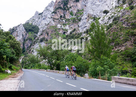 Paar Radfahrer entlang der Straße in Desfiladero de La Hermida, Hermida Schlucht, Deva Fluss, Picos de Europa, Kantabrien, Spanien Stockfoto