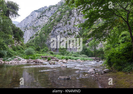 Desfiladero de La Hermida, Hermida Schlucht, Deva Fluss, Picos de Europa, Kantabrien, Spanien Stockfoto