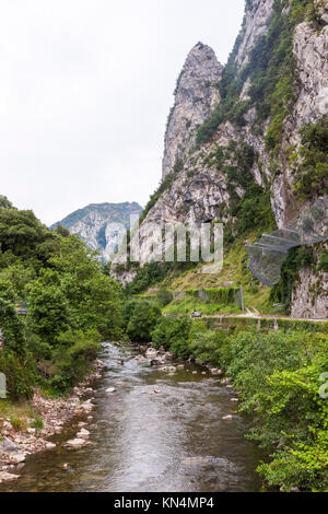 Desfiladero de La Hermida, Hermida Schlucht, Deva Fluss, Picos de Europa, Kantabrien, Spanien Stockfoto