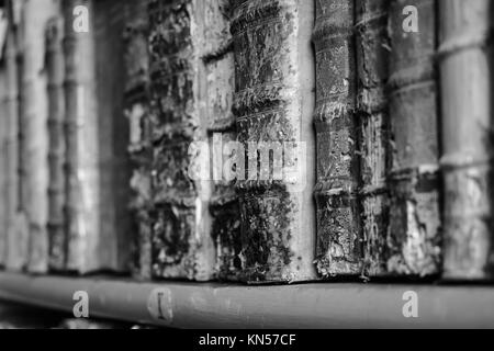 Alte Bücher in den Regalen einer Bibliothek. Stockfoto