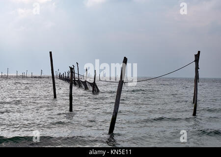 Kormorane saß oben auf der Pole, der unten ein Meer befestigt ist, Fischernetze zu halten Stockfoto