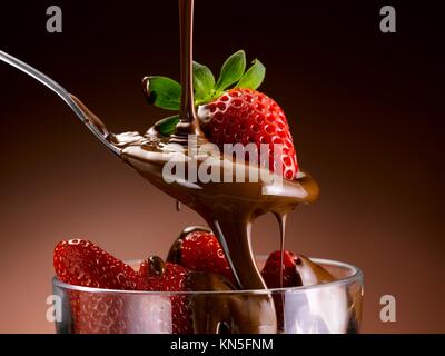 Schöne Erdbeeren in Schokolade gehüllt Stockfoto