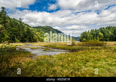 Goldstream Provincial Park, Victoria, Vancouver Island, Kanada Stockfoto