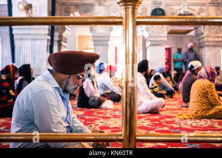 NEW DELHI, INDIEN - 18. MÄRZ 2016: Horizontale Bild der indischen Mann mit Turban der Sikhs Religion beten Sisganj innen Gurudwara Sahib, in entfernt Stockfoto