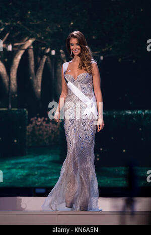 DORAL, Florida - Januar 21: Miss Spanien Desiree Cordero 2014, die 63. jährliche Miss Universe Pageant am 21. Januar 2015 in Miami, Florida. Personen: Miss Spanien Desiree Cordero Stockfoto