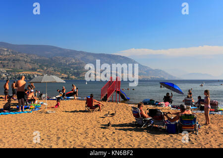 Sommer Blick über Sudbury Strand, Penticton Stadt, Okanagan Valley, British Columbia, Kanada. Stockfoto