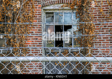 Abgebrochene Backsteingebäude, das Zerbrochene Fenster hinter Stacheldraht und Kette Zaun Stockfoto