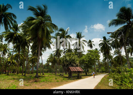 Ko Samui - Thailand Stockfoto