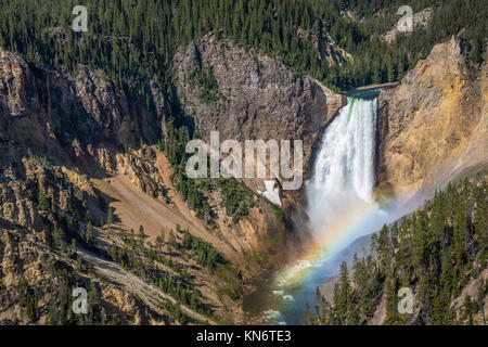 Lower Falls und Rainbow von Lookout Point, Grand Canyon des Yellowstone River, Yellowstone National Park, Wyoming, USA. Stockfoto