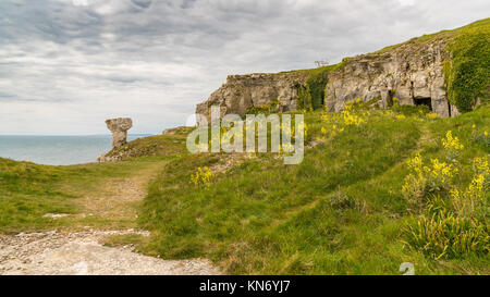 Steinbruch Ruinen von St aldhelm's Kopf, in der Nähe von Worth Matravers, Jurassic Coast, Dorset, Großbritannien Stockfoto