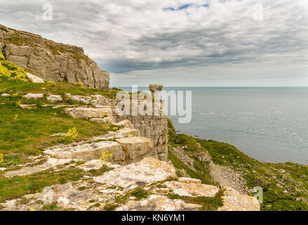 Steinbruch Ruinen von St aldhelm's Kopf, in der Nähe von Worth Matravers, Jurassic Coast, Dorset, Großbritannien Stockfoto