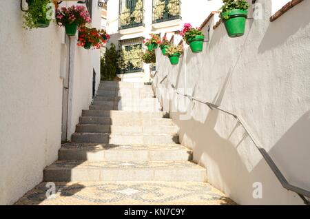 Blumen auf grünem Töpfe an der Wand an der Treppe in der Weißen Gasse des Dorfes Estepona, einer Stadt der Provinz Malaga, Spanien. Stockfoto