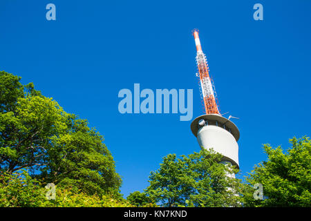 Fernsehturm am blauen Himmel grüne Bäume sonnigen Sommer Wireless Communication Technology Engineering Architektur Stockfoto