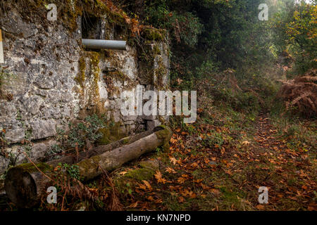 Alte, verlassene im Wald tief Lodge. Stockfoto
