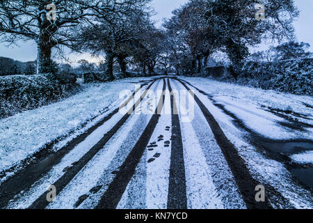 Spuren im Schnee auf einer Landstraße mit einer Reihe von Bäumen Stockfoto