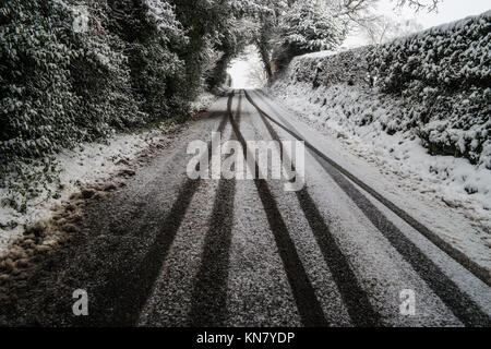 Spuren im Schnee auf einer Landstraße mit einer Reihe von Bäumen Stockfoto