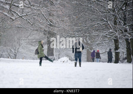 Sutton Coldfield, Großbritannien. September 2017. Eine Frau, die ihren Freund im Sutton Park mit Schnee beschneit. Allgemeine Ansicht von schweren Schneefall in Sutton Coldfield, West Midlands, Großbritannien. Eine bernsteinfarbene Warnung vor schwerem Schnee, der am Sonntag, dem 10. Dezember 2017, um 4 Uhr morgens beginnt, wurde für die West Midlands ausgegeben. Quelle: NexusPix/Alamy Live News Stockfoto