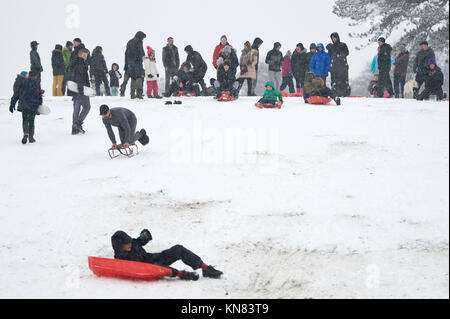 Sutton Coldfield, Großbritannien. September 2017. Leute, die Spaß auf ihren Schlitten und Snowboards haben in Sutton Park, Sutton Coldfield, West Midlands, Großbritannien. Eine bernsteinfarbene Warnung vor schwerem Schnee, der am Sonntag, dem 10. Dezember 2017, um 4 Uhr morgens beginnt, wurde für die West Midlands ausgegeben. Quelle: NexusPix/Alamy Live News Stockfoto