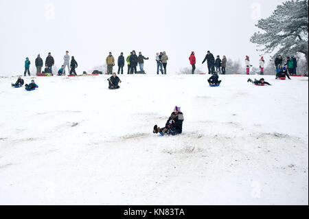 Sutton Coldfield, Großbritannien. September 2017. Leute, die Spaß auf ihren Schlitten und Snowboards haben in Sutton Park, Sutton Coldfield, West Midlands, Großbritannien. Eine bernsteinfarbene Warnung vor schwerem Schnee, der am Sonntag, dem 10. Dezember 2017, um 4 Uhr morgens beginnt, wurde für die West Midlands ausgegeben. Quelle: NexusPix/Alamy Live News Stockfoto