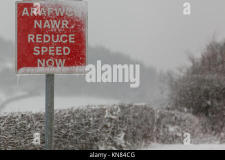 UK Wetter: Geschwindigkeit reduzieren Jetzt anmelden entlang der B4340 in Ceredigion, Mid Wales. © Ian Jones/Alamy leben Nachrichten Stockfoto