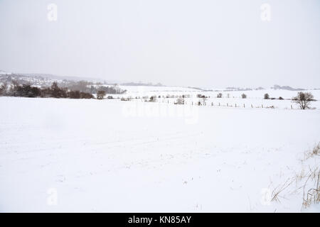 Cannock Chase, UK. 10. Dezember, 2017. Cannock Chase und die umliegenden Bereiche mit starker Schneefall in der gesamten Sonntag, den 10. Dezember 2017 behandelt. Schulen sind für Montag geschlossen, da die Temperaturen zu kämpfen über dem Gefrierpunkt zu erreichen sind, so dass kein Tauwetter in absehbarer Zeit zu erwarten ist. Credit: Daniel James Armishaw/Alamy leben Nachrichten Stockfoto