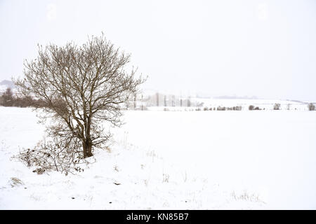 Cannock Chase, UK. 10. Dezember, 2017. Cannock Chase und die umliegenden Bereiche mit starker Schneefall in der gesamten Sonntag, den 10. Dezember 2017 behandelt. Schulen sind für Montag geschlossen, da die Temperaturen zu kämpfen über dem Gefrierpunkt zu erreichen sind, so dass kein Tauwetter in absehbarer Zeit zu erwarten ist. Credit: Daniel James Armishaw/Alamy leben Nachrichten Stockfoto