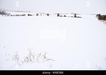 Cannock Chase, UK. 10. Dezember, 2017. Cannock Chase und die umliegenden Bereiche mit starker Schneefall in der gesamten Sonntag, den 10. Dezember 2017 behandelt. Schulen sind für Montag geschlossen, da die Temperaturen zu kämpfen über dem Gefrierpunkt zu erreichen sind, so dass kein Tauwetter in absehbarer Zeit zu erwarten ist. Credit: Daniel James Armishaw/Alamy leben Nachrichten Stockfoto