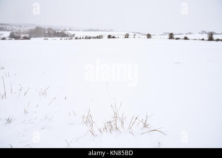Cannock Chase, UK. 10. Dezember, 2017. Cannock Chase und die umliegenden Bereiche mit starker Schneefall in der gesamten Sonntag, den 10. Dezember 2017 behandelt. Schulen sind für Montag geschlossen, da die Temperaturen zu kämpfen über dem Gefrierpunkt zu erreichen sind, so dass kein Tauwetter in absehbarer Zeit zu erwarten ist. Credit: Daniel James Armishaw/Alamy leben Nachrichten Stockfoto
