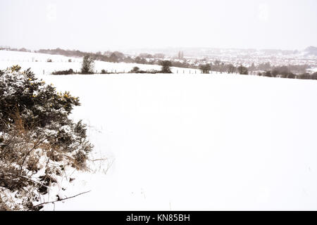 Cannock Chase, UK. 10. Dezember, 2017. Cannock Chase und die umliegenden Bereiche mit starker Schneefall in der gesamten Sonntag, den 10. Dezember 2017 behandelt. Schulen sind für Montag geschlossen, da die Temperaturen zu kämpfen über dem Gefrierpunkt zu erreichen sind, so dass kein Tauwetter in absehbarer Zeit zu erwarten ist. Credit: Daniel James Armishaw/Alamy leben Nachrichten Stockfoto